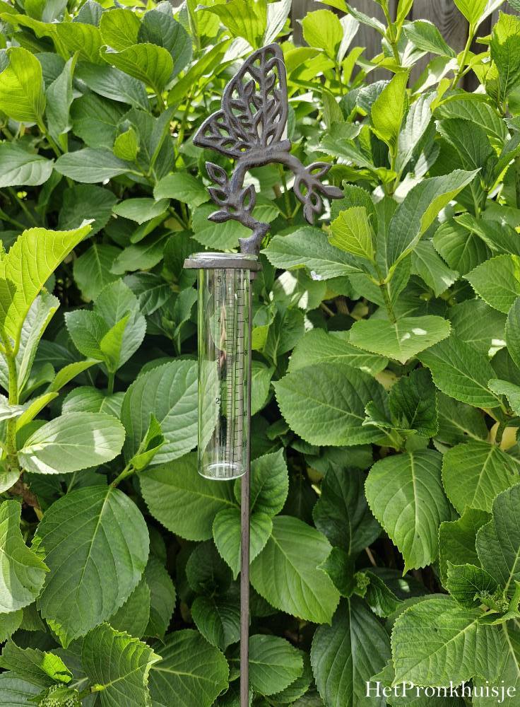 Regenmeter. Vlinder - Afbeelding 3