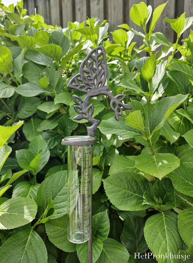 Regenmeter. Vlinder - Afbeelding 2