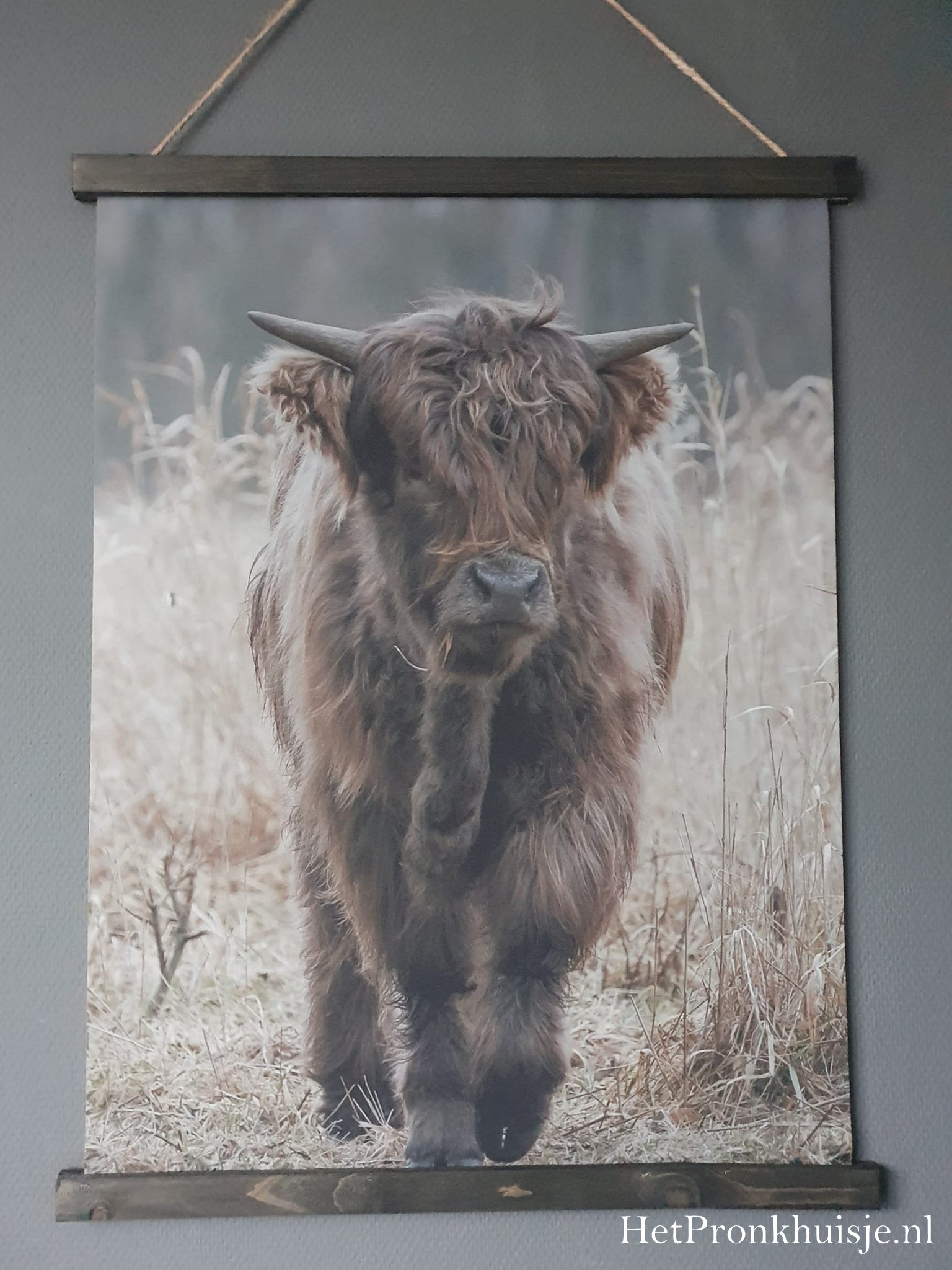 Wanddoek. Hooglander - Afbeelding 2