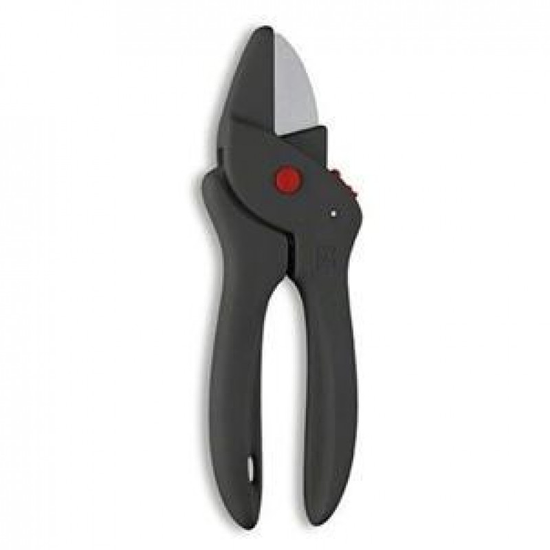 Paul bloemenschaartje - Afbeelding 2